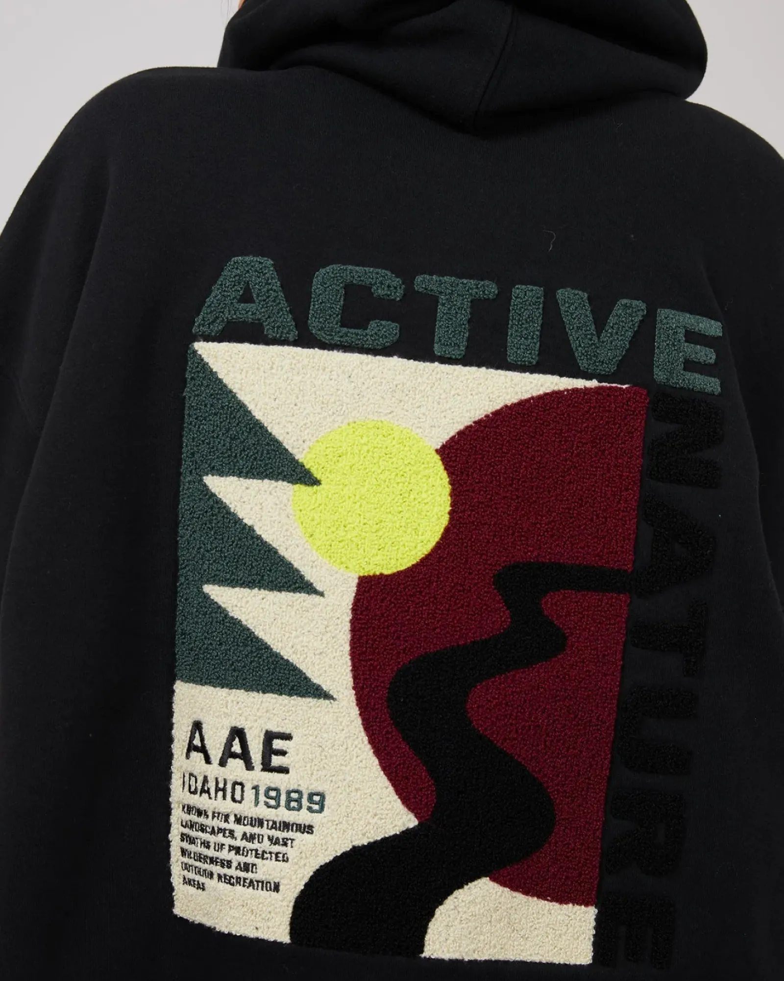 All About Eve National Hoodie - Black Fashion