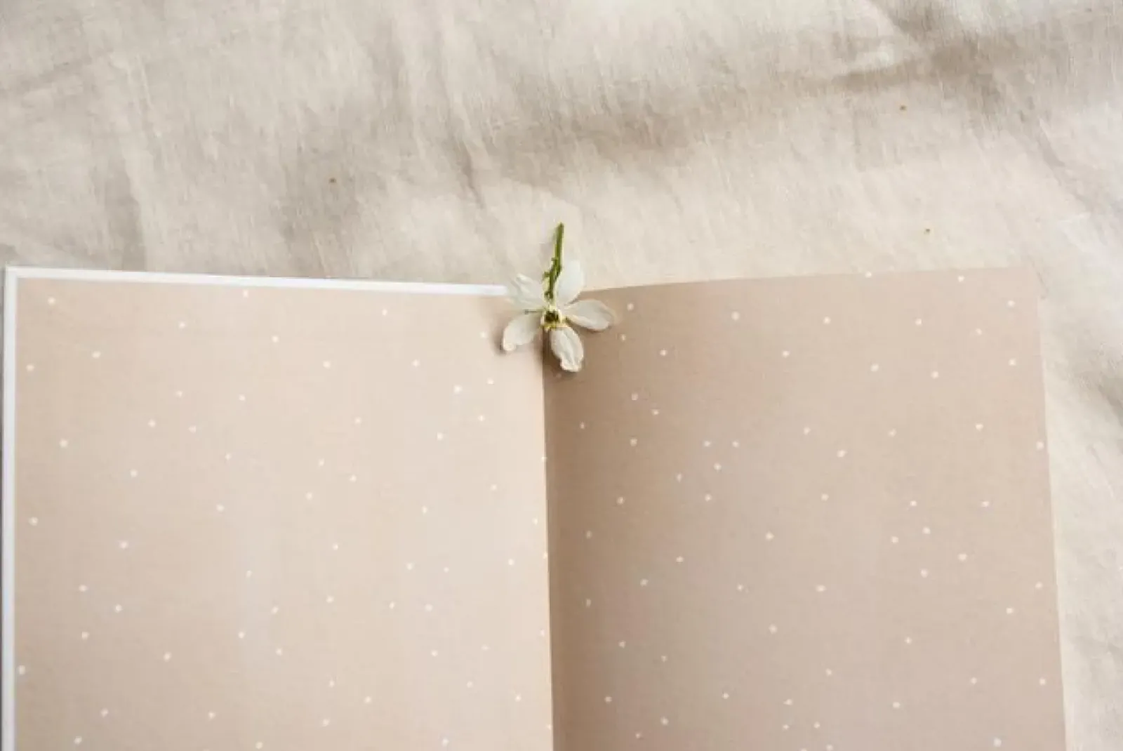 Musings from the Moon A5 Journal Hot