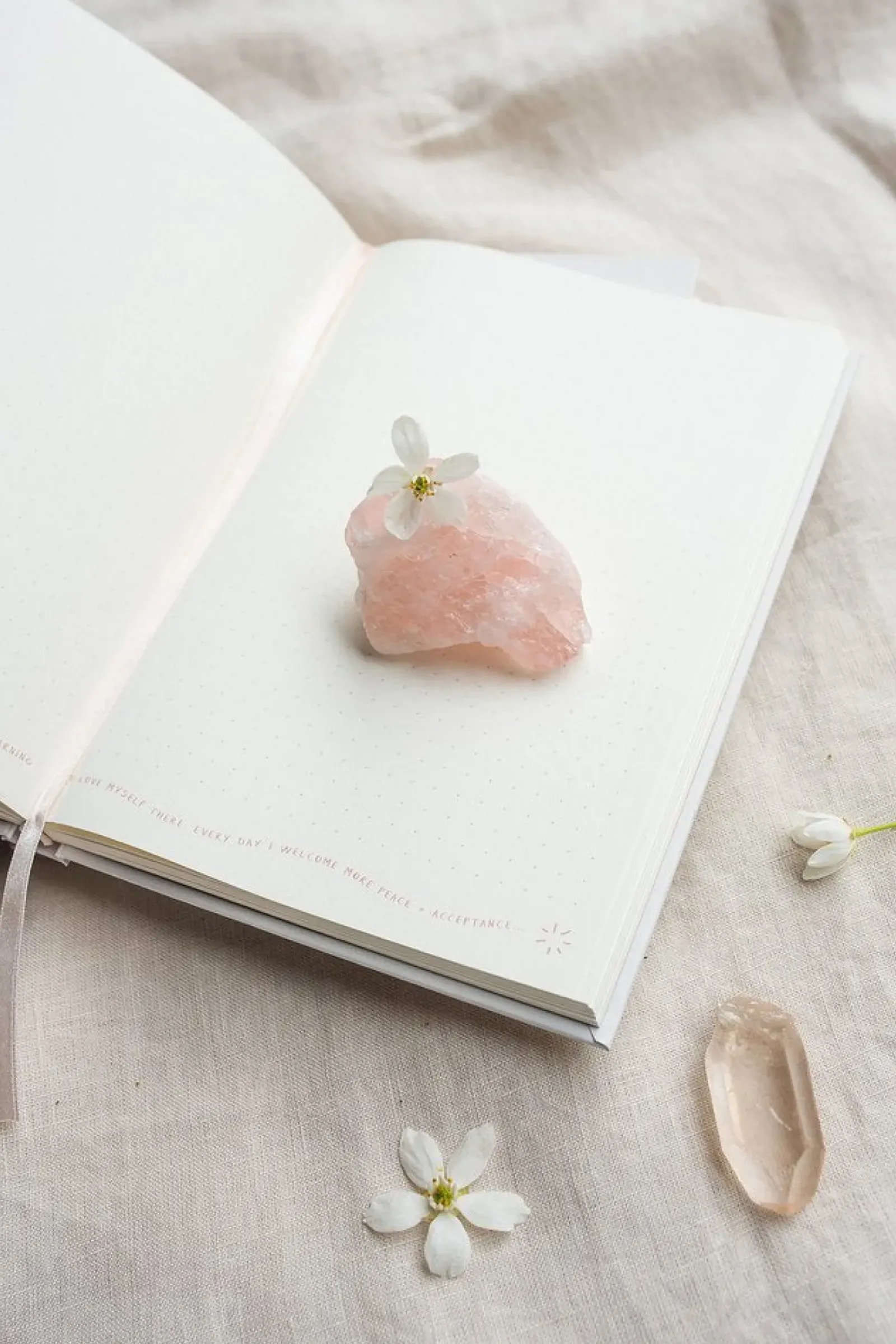 Musings from the Moon A5 Journal Hot