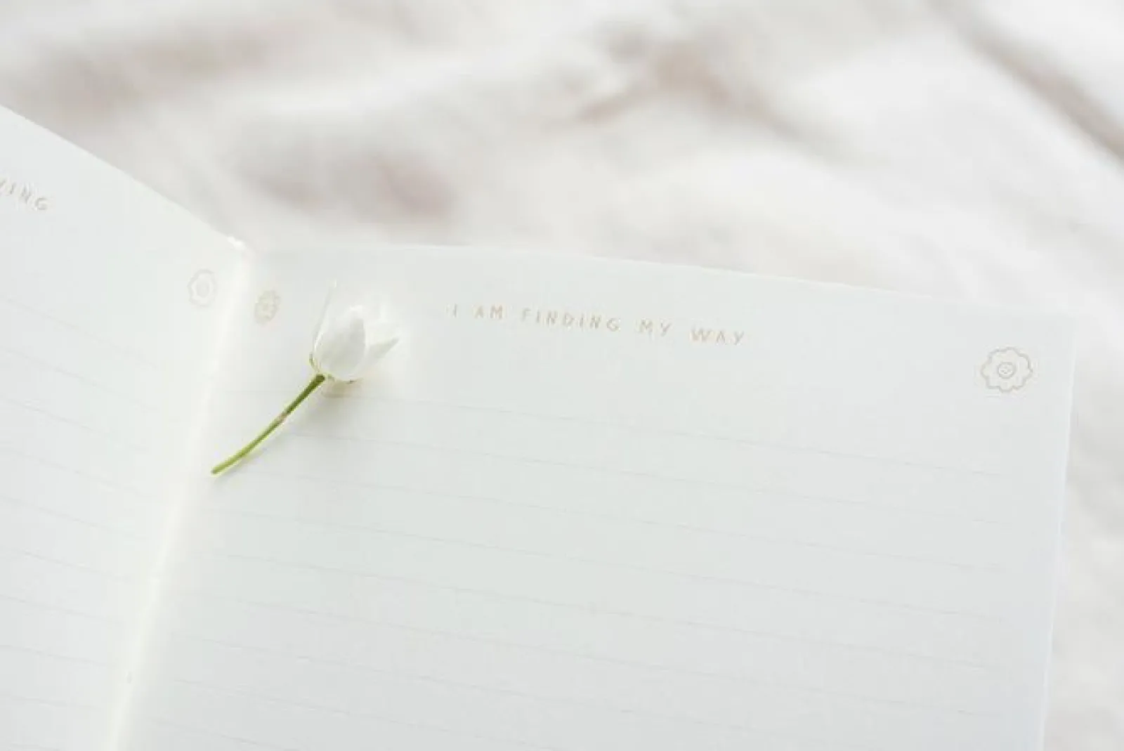Musings from the Moon A5 Journal Hot